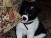 Фотография Задориной Лидии