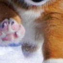 Віка Костевка фотография #46 (источник - https://vk.com/id151551439)