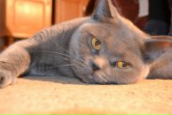 Євген Тітов фотография #35 (источник - https://vk.com/id33629111)