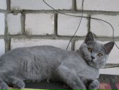 Фотография Макаровой Натальи