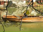 Анастасія Балюк фотография #36 (источник - https://vk.com/id110575314)