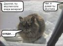 Фотография Деревягина Сергея