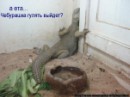 Иришка Венцова фотография #27 (источник - https://vk.com/id4664078)