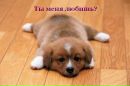 Віка Корніюк фотография #2 (источник - https://vk.com/id241976927)