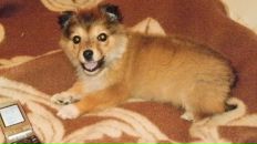 Таня Лісова фотография #11 (источник - https://vk.com/id108220430)