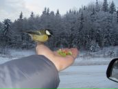 Фотография Udalov Slavik