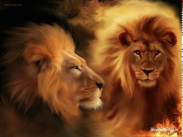 Марк Дуркст фото №1