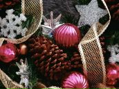 Наталя Тимків фотография #2 (источник - https://vk.com/id63589626)