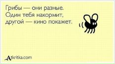 Аня Кідман фотография #24 (источник - https://vk.com/id31570616)