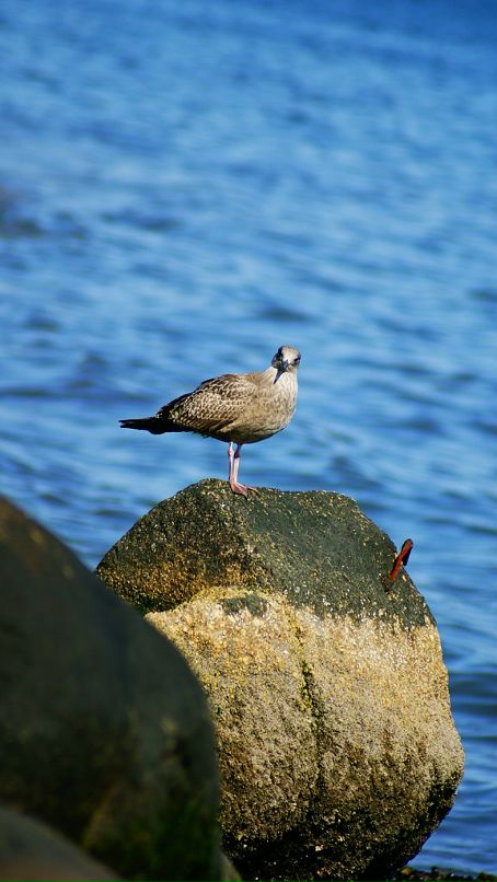 Konstantin Sdobnikov фотография #40