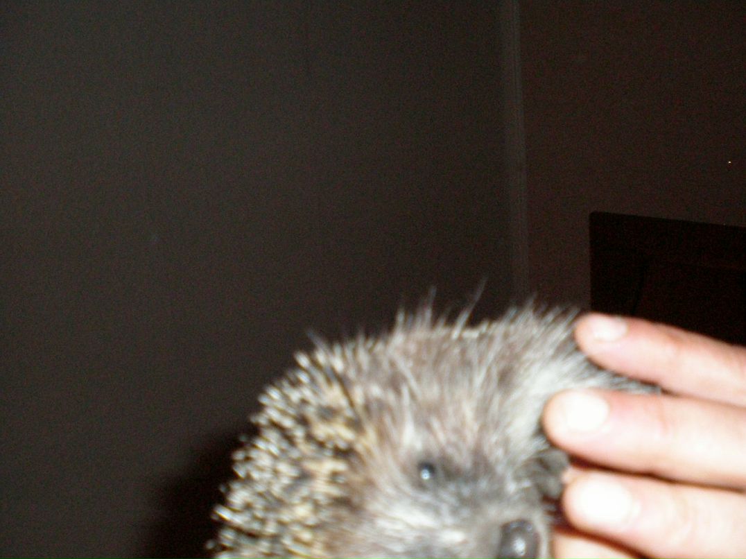 Dima S@liy фотография #2