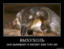 Ілоха Позитифне фотография #21 (источник - https://vk.com/id73936481)