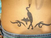 Анастасія Бобенчик фотография #5 (источник - https://vk.com/id62306033)