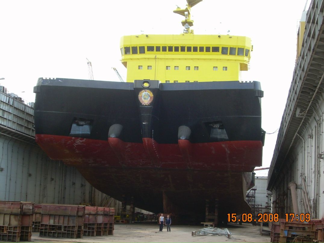 Дмитрий Васильев фотография #5