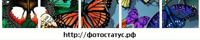 Марія Петрина фотография #16 (источник - https://vk.com/id131727323)