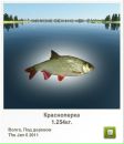 Максім Гончар фотография #32 (источник - https://vk.com/id48824433)