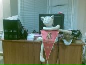 Фотография Epaneshnikov Mikhail