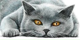 Carolina Oliynyk фотография #18 (источник - https://vk.com/id99390691)