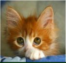 Фотография Кузнецовой Елены