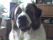 Вікторія Митюк фотография #11 (источник - https://vk.com/id133978219)