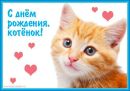 Фотография Артём Мальцев