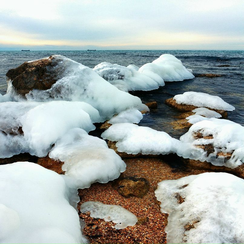 Илья Франк фотография #48