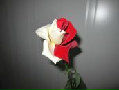 Фотография Романова Аркадия