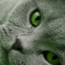 Фотография Ерониной Катерины