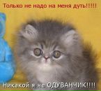 Фотография Николаевой Анастасии