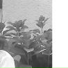 Танька Кондря фотография #50 (источник - https://vk.com/id85604660)