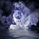 Іваночка Вербіцька фотография #1