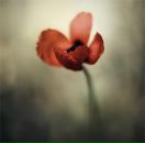 Ірина Стецюк фотография #33 (источник - https://vk.com/id6244582)