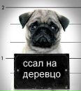 Вікторія Сак фотография #7 (источник - https://vk.com/id63684929)