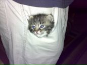 Євген Тітов фотография #37 (источник - https://vk.com/id33629111)