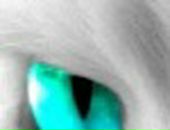 Baby Love фотография #3 (источник - https://vk.com/id4592574)