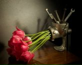 Фотография Сорокиной Юлии