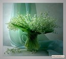 Вікуся Назарко фотография #34 (источник - https://vk.com/id159254390)