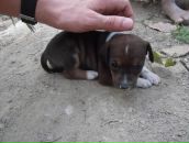 Дмитрий Михеенко фотография #16 (источник - https://vk.com/id553521)