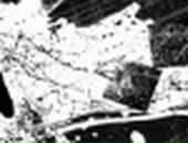 Вовік Фарина фотография #35 (источник - https://vk.com/id16262892)