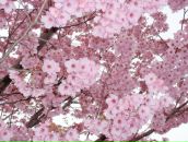 Екатерина Мидзуно фотография #3 (источник - https://vk.com/id481887)