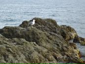 Андрій Клебан фотография #25 (источник - https://vk.com/id8874620)