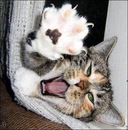 Фотография Муравьевой Светланы