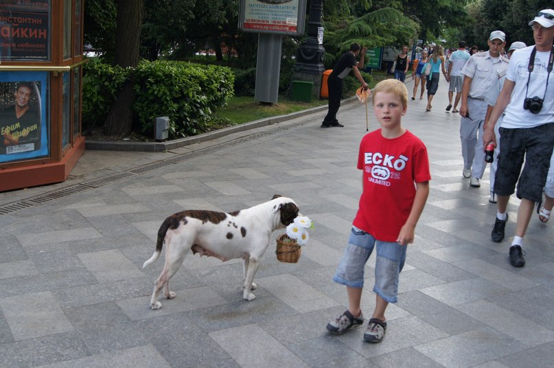 Stepa Reznikov фотография #17