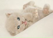 Вадім Бонгар фотография #4 (источник - https://vk.com/id72563271)