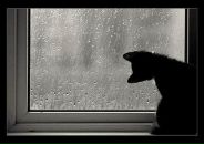 Фотография Владимировича Ильи