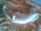 Людмила Ємельяненко фотография #23 (источник - https://vk.com/id67714241)