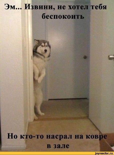 Валентин Кузьмин фотография #25