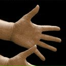 Фотография Корнева Александра