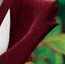 Іра Чіпак фотография #34 (источник - https://vk.com/id53483593)