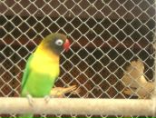 Наталія Яремків фотография #33 (источник - https://vk.com/id96030317)